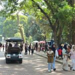 Libur Natal 2025: Taman Margasatwa Ragunan Dibanjiri Pengunjung Keluarga di Pagi Hari
