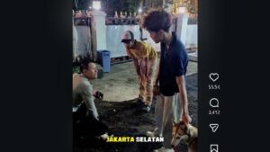 Anjing Lepas di Bandung Gigit Kucing hingga Sekarat, Polisi Tegur Keras Pemilik