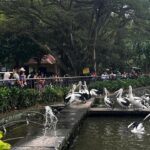 Taman Margasatwa Ragunan Tetap Buka Selama Libur Natal dan Tahun Baru 2025/2026