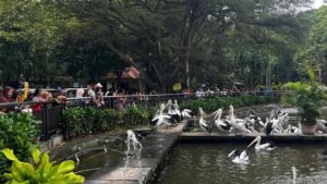 Taman Margasatwa Ragunan Tetap Buka Selama Libur Natal dan Tahun Baru 2025/2026
