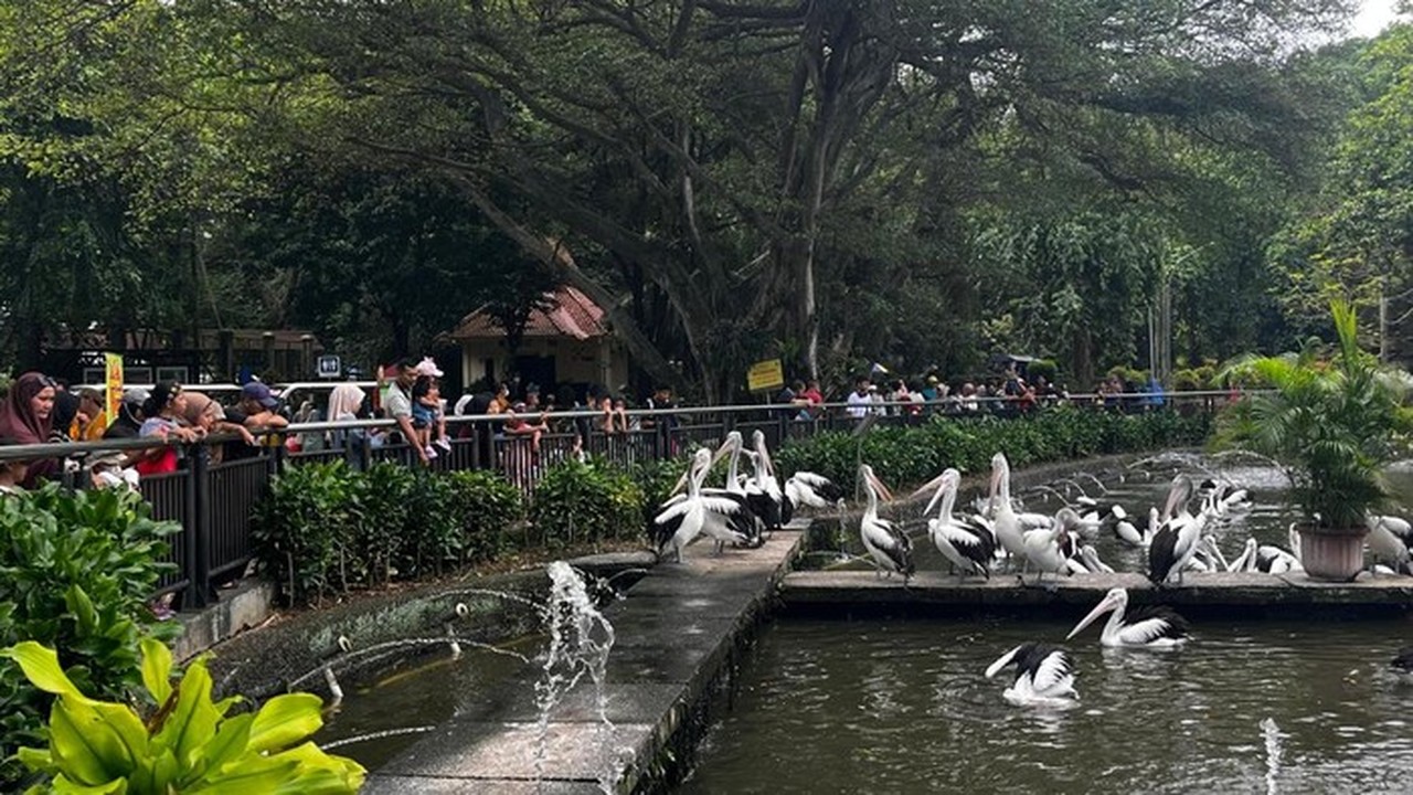 Taman Margasatwa Ragunan Tetap Buka Selama Libur Natal dan Tahun Baru 2025/2026