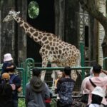 Libur Nataru, Taman Margasatwa Ragunan Buka Lebih Awal dan Tutup Lebih Lama