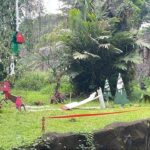 Ragunan Suguhkan Feeding Gorila Bertema Natal dan Tahun Baru untuk Pengunjung