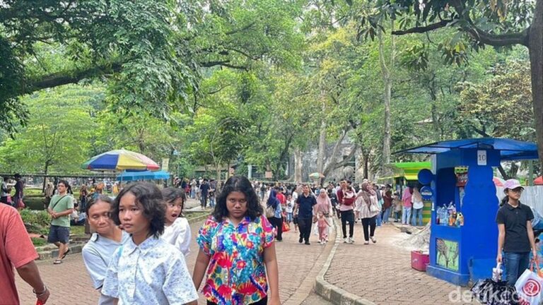 Libur Natal 2025: 50.211 Pengunjung Padati Taman Margasatwa Ragunan Libur Natal 2025: 50.211 Pengunjung Padati Taman Margasatwa Ragunan