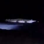 Video Buaya Muncul di Pantai Malang Beredar, Polisi Imbau Warga Tetap Lapor Jika Melihat