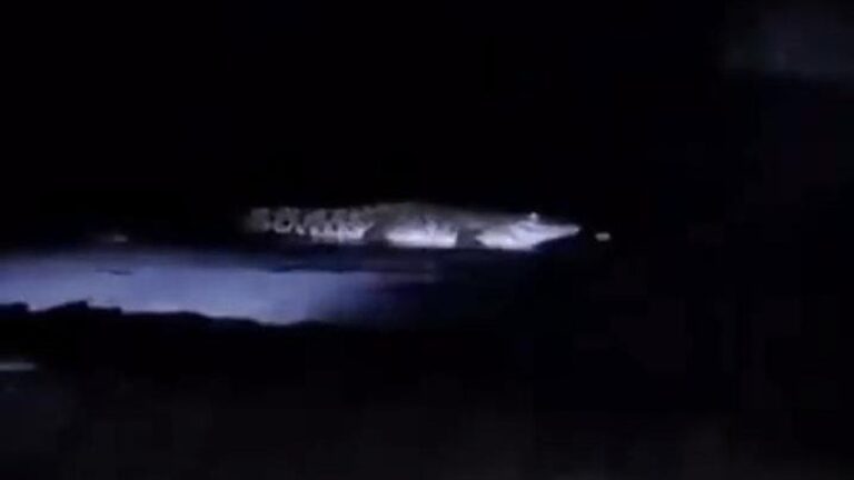 Video Buaya Muncul di Pantai Malang Beredar, Polisi Imbau Warga Tetap Lapor Jika Melihat