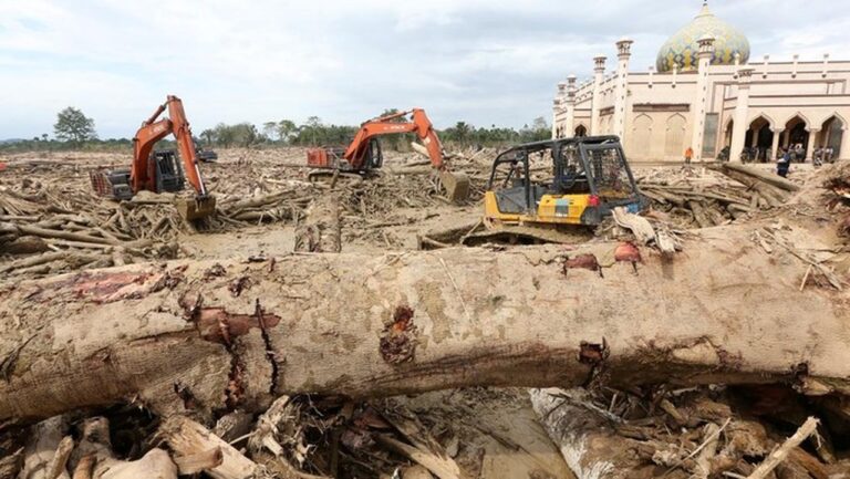 Bencana Sumatera: 1.135 Tewas, 489 Ribu Warga Mengungsi Akibat Banjir dan Longsor