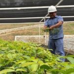 Banjir dan Longsor Sumatera: Pengingat Mendesak untuk Merawat Warisan Alam dan Lingkungan