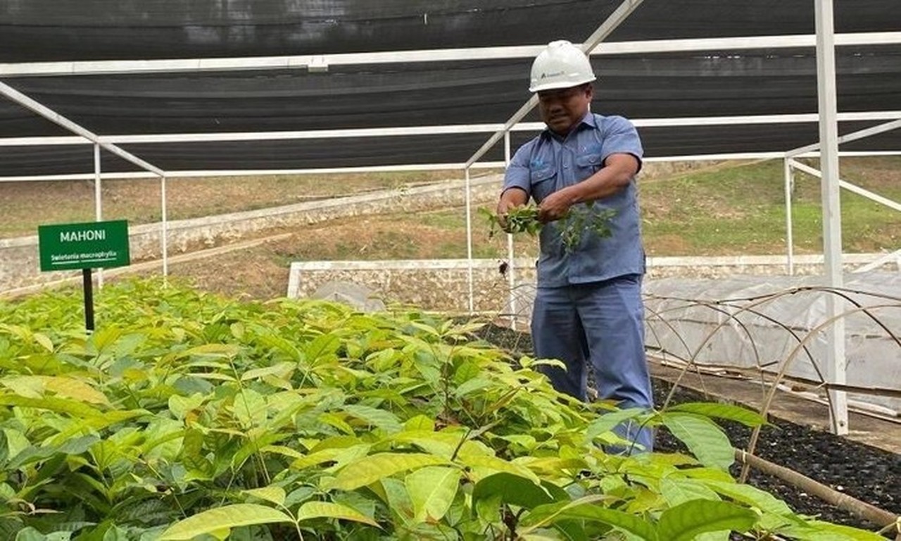 Banjir dan Longsor Sumatera: Pengingat Mendesak untuk Merawat Warisan Alam dan Lingkungan