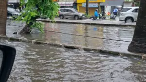 Analisis Banjir Jabodetabek 18 Januari, Kenapa Bekasi Bisa Lebih Parah dari Jakarta?