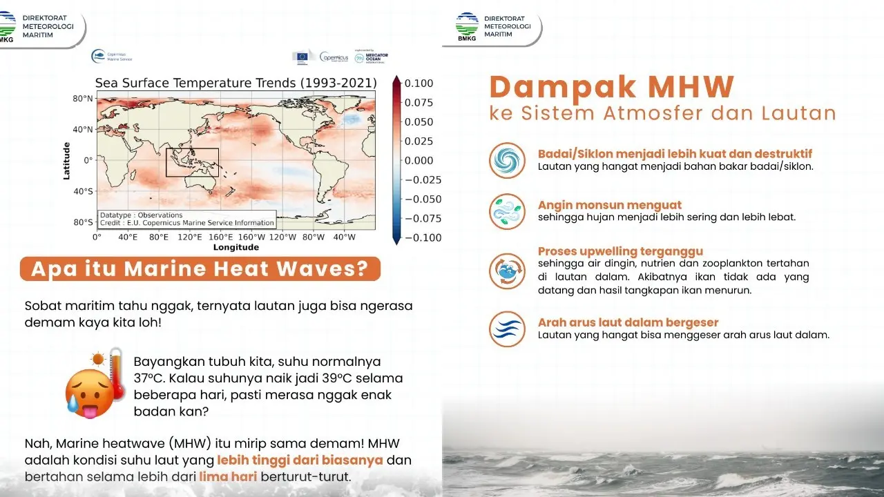 Bmkg Ungkap Bahaya Marine Heatwave