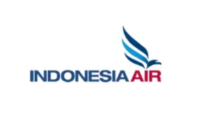 Pesawatnya Hilang di Maros, Siapa Pemilik Indonesia Air Transport?