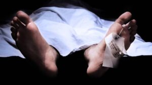 Pemuda di Bogor Tewas Tersengat Listrik Saat Hendak Ambil Daun Salam di Atas Pohon