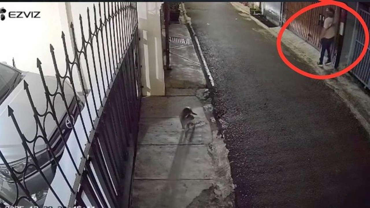 DJ Donny Lapor ke Polda Metro Usai Rumahnya Dilempari Bangkai Ayam dan Molotov DJ Donny Lapor ke Polda Metro Usai Rumahnya Dilempari Bangkai Ayam dan Molotov