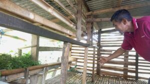 11 Domba Warga Bogor Dicuri, 4 Ekor Ditinggal Jeroannya di Kandang