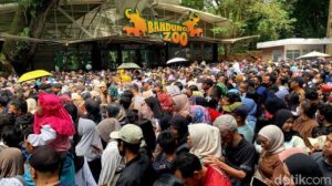 Ribuan Wisatawan Padati Bandung Zoo di Hari Terakhir Tiket Gratis Akhir Tahun