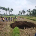 Lubang Raksasa Muncul Misterius di Sawah Warga Sumbar Pasca Suara Ledakan