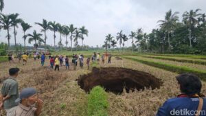 Lubang Raksasa Muncul Misterius di Sawah Warga Sumbar Pasca Suara Ledakan