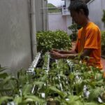 12.146 Napi Terlibat Program Ketahanan Pangan, Premi Capai Rp 902 Juta di 2025