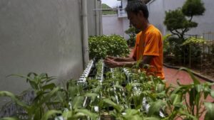 12.146 Napi Terlibat Program Ketahanan Pangan, Premi Capai Rp 902 Juta di 2025