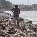 Pantai Teluk Labuan Pandeglang Dipenuhi Sampah Kayu, Diduga Berasal dari Luar Banten