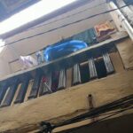 Balita Jatuh dari Lantai 2 Rumah di Jaktim, Polisi Pastikan Pengawasan Ketat Meski Tak ke Rumah Aman