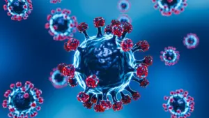 Kemenkes Pastikan Belum Ada Kasus Virus Nipah di Indonesia