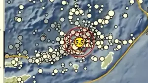 Gempa Magnitudo 5,0 Guncang Maluku Tenggara, BMKG Pastikan Tidak Berpotensi Tsunami