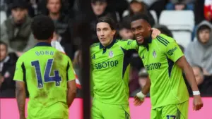 Hasil Sunderland vs Fulham 1-3: Brace Raul Jimenez Bawa Tim Tamu Curi Poin Penuh