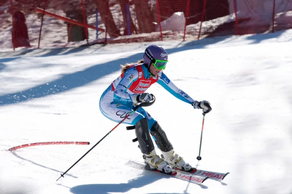 Olahraga Alpen Skiing Di Olimpiade Musim Dingin