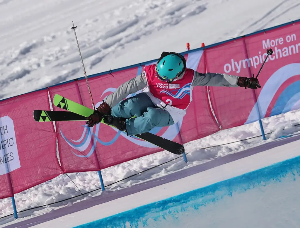 Olahraga Freestyle Skiing Di Olimpiade Musim Dingin