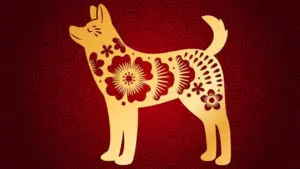 Ramalan Shio Anjing di Tahun Kuda Api 2026, Mulai Dari Karier, Keuangan hingga Asmara
