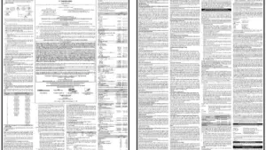 Prospektus Ringkas PT Tamaris Hydro Terbit 18 Juni 2026: Ringkasan Dokumen Keuangan dan Penawaran