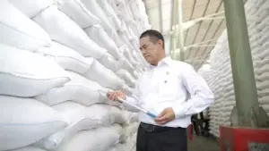 FAO Puji Produksi Beras RI, Mentan Soroti Peran Petani dan Stok 5,3 Juta Ton