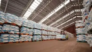 Pupuk Indonesia Masuk Fortune Southeast Asia 500, Raih Pendapatan Rp90,4 Triliun