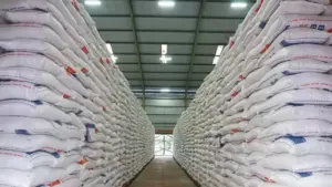 Pastikan Distribusi Lancar, Pemerintah Banjiri Pasar dengan Cadangan Beras