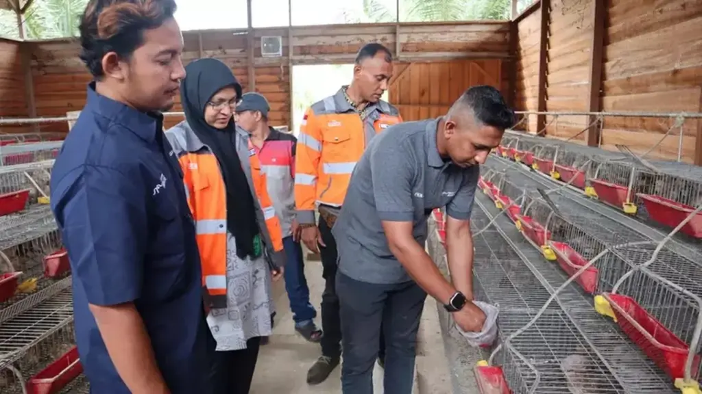 SIG Pastikan Sampah Kelapa Diolah Jadi Pakan, Peternak Hemat 60%