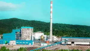 Saham DSSA Bangkit Setelah Dua Hari Tertekan, Aksi Borong Dorong Penguatan