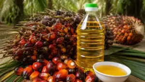 Harga CPO Merosot Tajam Didorong Penguatan Ringgit, Minyak Dunia, dan Minyak Nabati