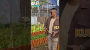 Kelinci Disebut Penyebab Kesuburan Kebun LRT, Video Ajak Penonton Langganan
