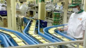 ICBP Umumkan Dividen Rp265 Per Saham, Bayar 28 Juli 2026