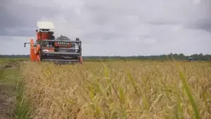 BMKG Peringatkan Puncak Kemarau Agustus-September: Percepat Tanam dan Prioritaskan Air