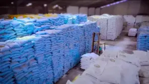 NPGF Catat Lonjakan Penjualan Kuartal I-2026 Jadi Rp85,26 Miliar