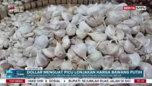 Harga Bawang Putih di Beringharjo Naik, Pedagang Sebut Penguatan Dolar Jadi Pemicu